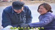 民间小调下载免费mp3下载《亲生儿子骗娘钱