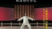 八段锦教学视频高清mp4下载 第五式标准动作