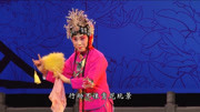 曲剧下载免费mp4《花为媒》见阮玛行动不像游玩赏景 孔素红 洛阳市曲剧团下载