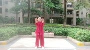 八段锦高清教学视频下载 健康气功八段锦