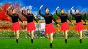 辣妈广场舞教学视频大全免费下载《妈妈我想