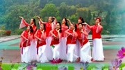 糖豆广场舞教程视频大全下载《你像三月桃花