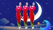 糖豆广场舞视频大全免费下载《月亮弯弯在天
