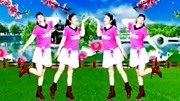 糖豆广场舞视频大全免费下载《对面的小姐姐
