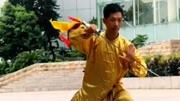 陈式太极拳简化20式第06集 连环肘 太极拳入门教程下载下载