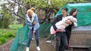 山歌剧mp4免费下载网《苦命女人》第四集