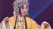 梨园春mp4免费下载《打金枝》选段 桑派传人苗文华演唱下载