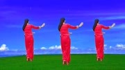 玫香广场舞视频大全免费下载《好一朵美丽的