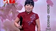 河南坠子大全下载mp4《刘公传奇》第二十四