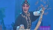 梨园春mp4免费下载《痴梦》选段 豫剧名家郭