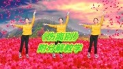 广场舞教学视频免费下载mp4《伤离别》新创3