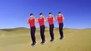 玫香广场舞视频大全免费下载《晚秋》8步广