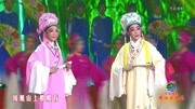 豫剧mp3打包下载《梁山伯与祝英台》刘晓燕 杨红霞 我家中有一束好牡丹下载