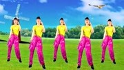 中老年健身操免费下载《火火的姑娘》简单易