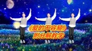广场舞教学视频免费下载mp4《爱的不容易》D