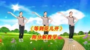 广场舞教学视频免费下载mp4《等到花儿开》1