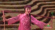 秦腔全本mp3下载免费《王贵与李香香》 柳萍