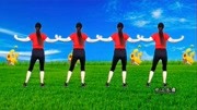 广场舞教学视频免费下载mp4《时尚健身操》