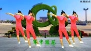 中老年健身操教学视频《军中绿花》背面教学
