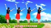 广场舞教学视频免费下载mp4《今生的唯一》