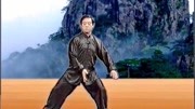 陈正雷 讲解陈氏太极拳精要十八式第五式 六封四闭 教学视频下载网站免费下载