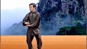 陈正雷 讲解陈氏太极拳精要十八式第六式 单鞭 教学视频下载网站免费下载