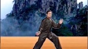 陈正雷 讲解陈氏太极拳精要十八式 第七式白