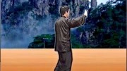 陈正雷 讲解陈氏太极拳精要十八式第八式 斜形 教学视频下载网站免费下载