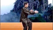 陈正雷 讲解陈氏太极拳精要十八式第九式 搂膝拗步 教学视频下载网站免费下载