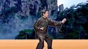 陈正雷 讲解陈氏太极拳精要十八式第十式 掩手肱拳 教学视频下载网站免费下载