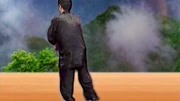 陈正雷 讲解陈氏太极拳精要十八式第十二式