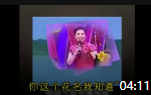 二人转小帽全集完整版mp4免费下载《十对花