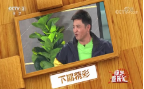 《综艺喜乐汇》 20200605下载