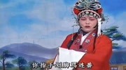 琴书mp3免费下载网站《王天宝下苏州》在楼