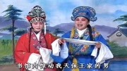 琴书下载免费mp4下载《王天宝下苏州》夫妻