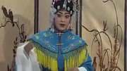 琴书免费下载网站 《赛花试探是不是银河太