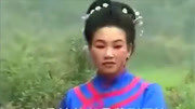 赣南采茶戏全部视频mp4免费下载 《有个女子