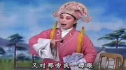 琴书下载免费mp4下载《王天宝下苏州》十二