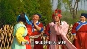 琴书mp3免费打包下载《飞龙传》贼韩生一把