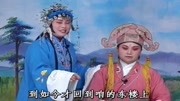 琴书下载免费mp4下载《王天宝下苏州》走上