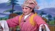 琴书mp3免费下载网站《王天宝下苏州》刘玉