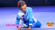 黄梅戏免费下载网站《槐花谣》选段 表演 湖北省黄梅戏剧院副团长 谢思琴下载