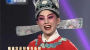 黄梅戏免费下载网站《女驸马》选段 为救李