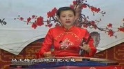 琴书下载免费mp4下载《九侠戏罗忠》八宝殿