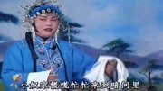 琴书下载免费mp4下载《王天宝下苏州》叫声