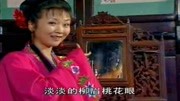 黄梅戏视频下载安装《姐妹情仇》凌花镜前细