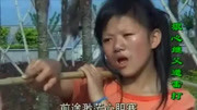 抚州采茶戏免费下载《逃亡之路真是难一路坎