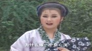 黄梅戏视频下载网址《孤儿寡母好伤心》只为
