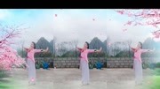 糖豆广场舞视频大全集mp4免费下载《你像三