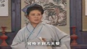 黄梅戏大全视频手机下载《孤儿寡母好伤心》